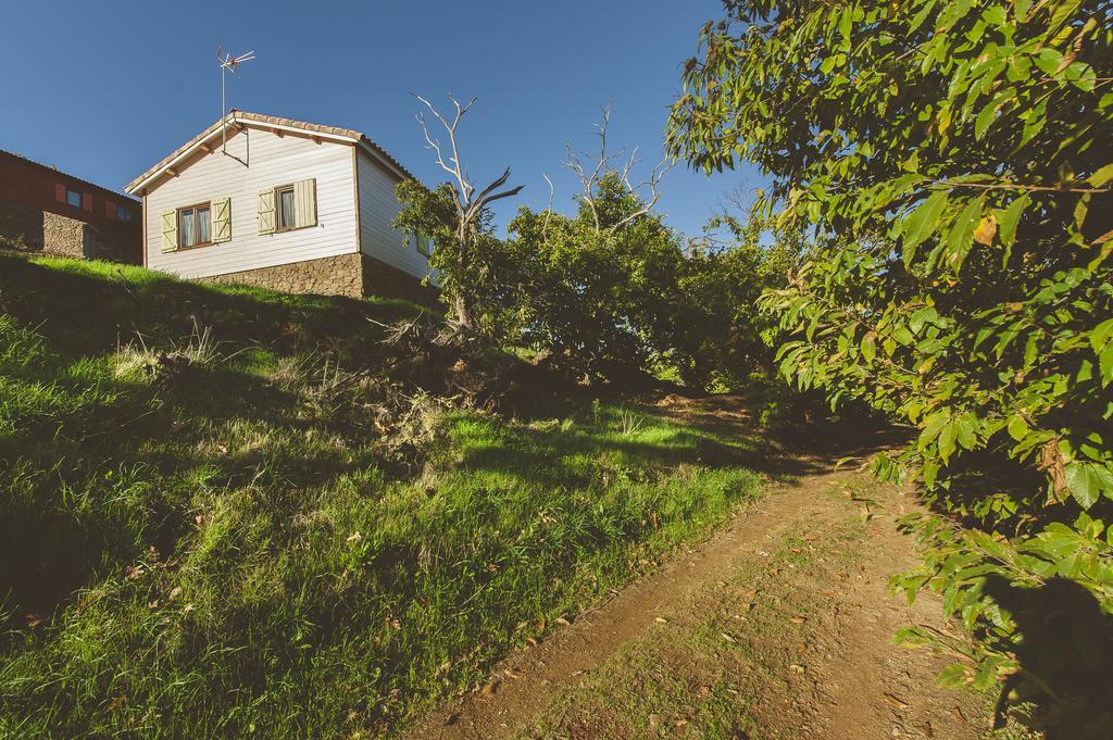 La Brizna Casa de hóspedes Cañamero Exterior foto