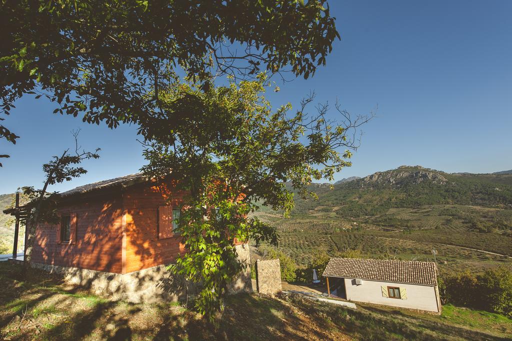 La Brizna Casa de hóspedes Cañamero Quarto foto