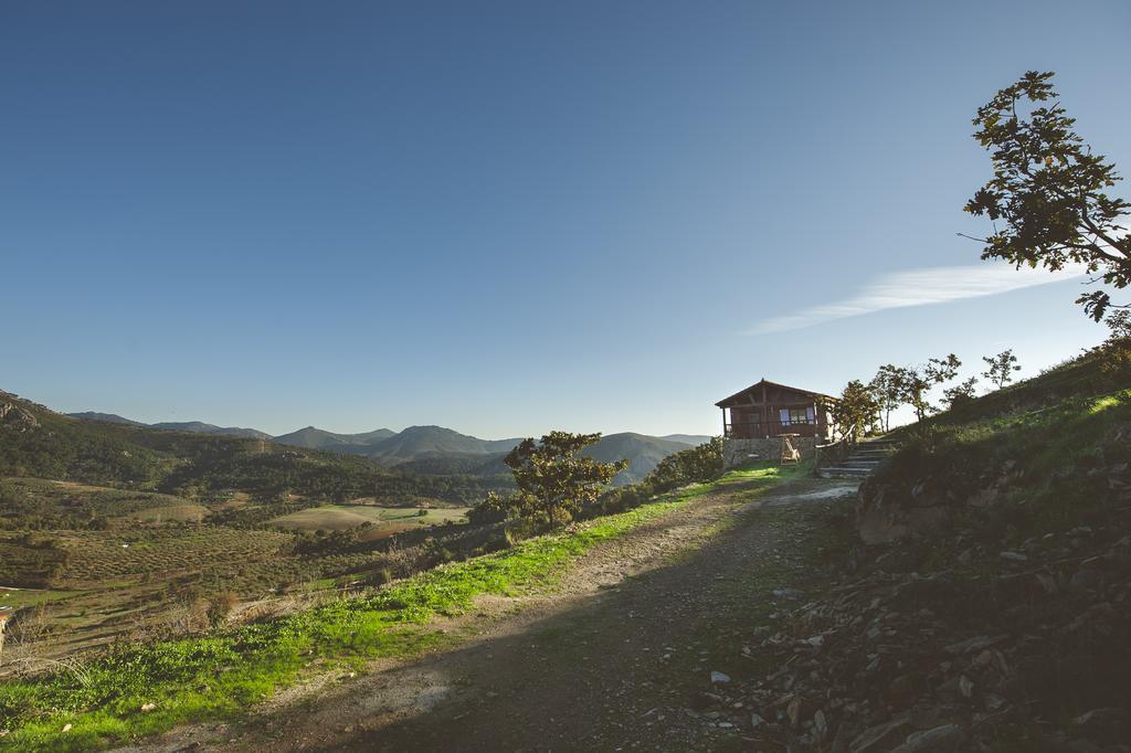 La Brizna Casa de hóspedes Cañamero Quarto foto