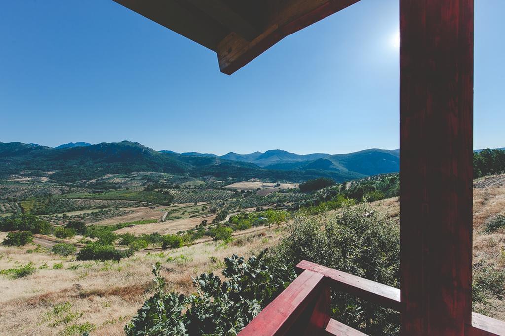 La Brizna Casa de hóspedes Cañamero Quarto foto